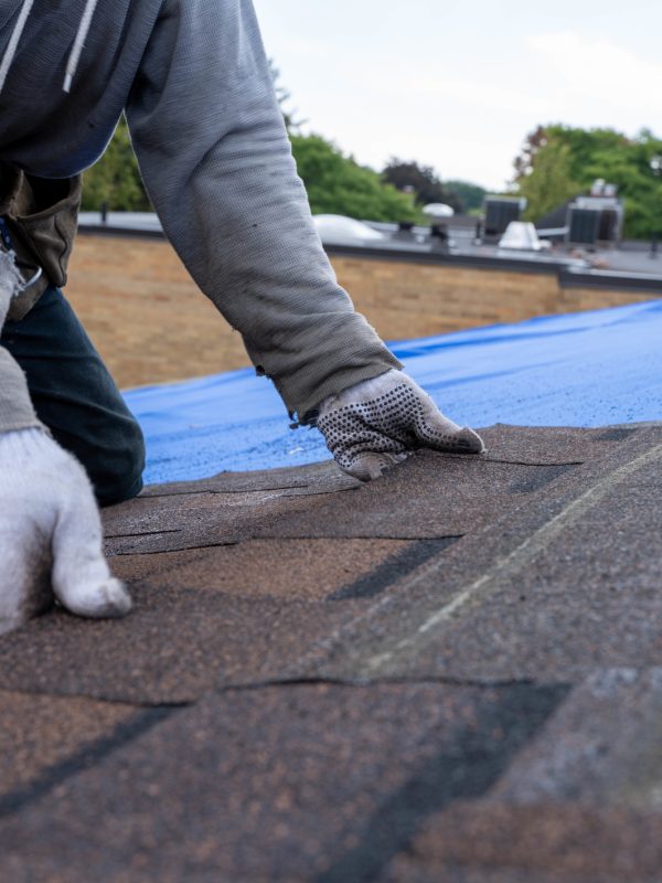 roofer laying new roof